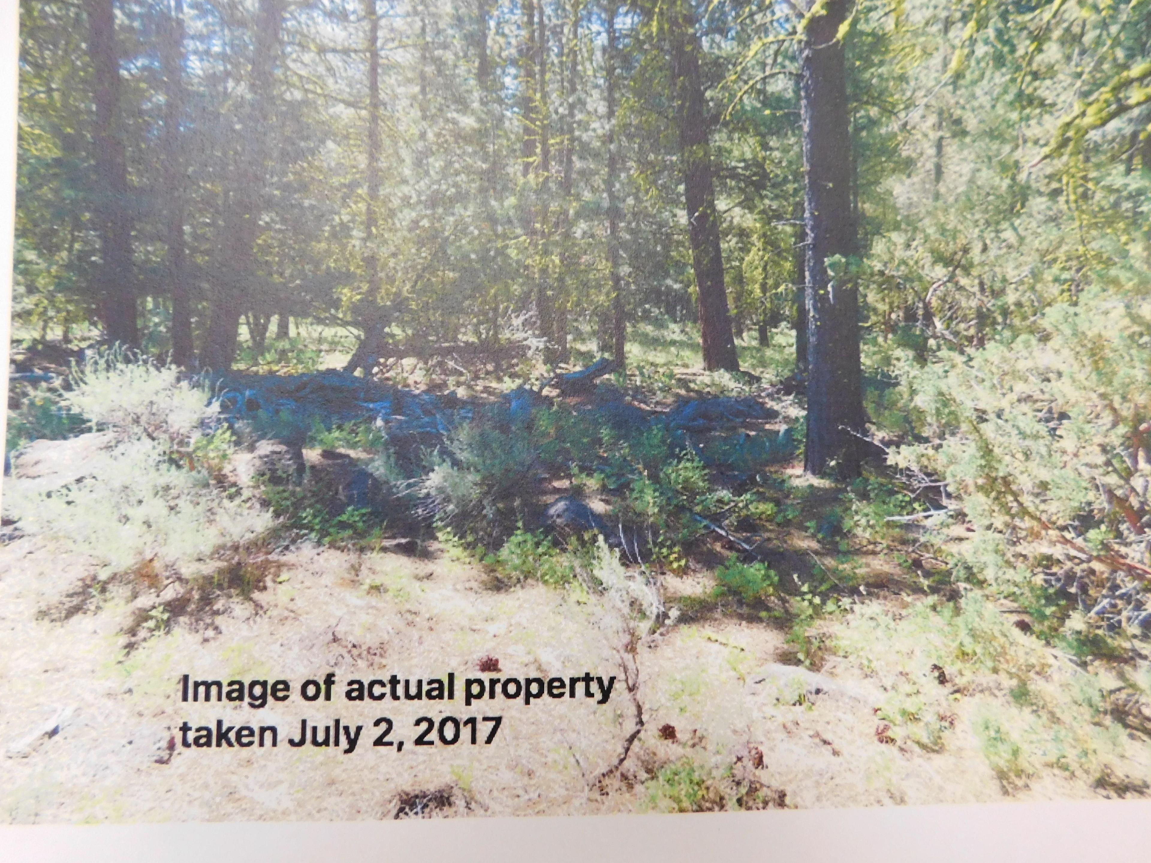 LOT#5 - 1 ACRE LOT MODOC COUNTY NEAR STOCKED FISHING POND
