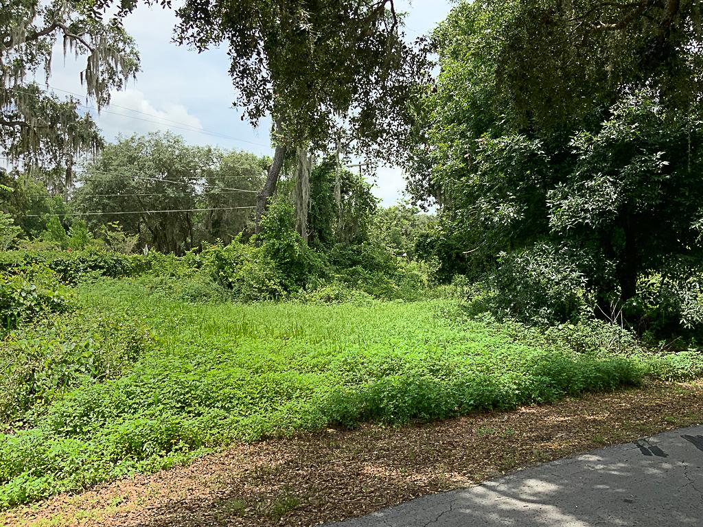 Estate Auction! Residential Lot Near Lake Weir