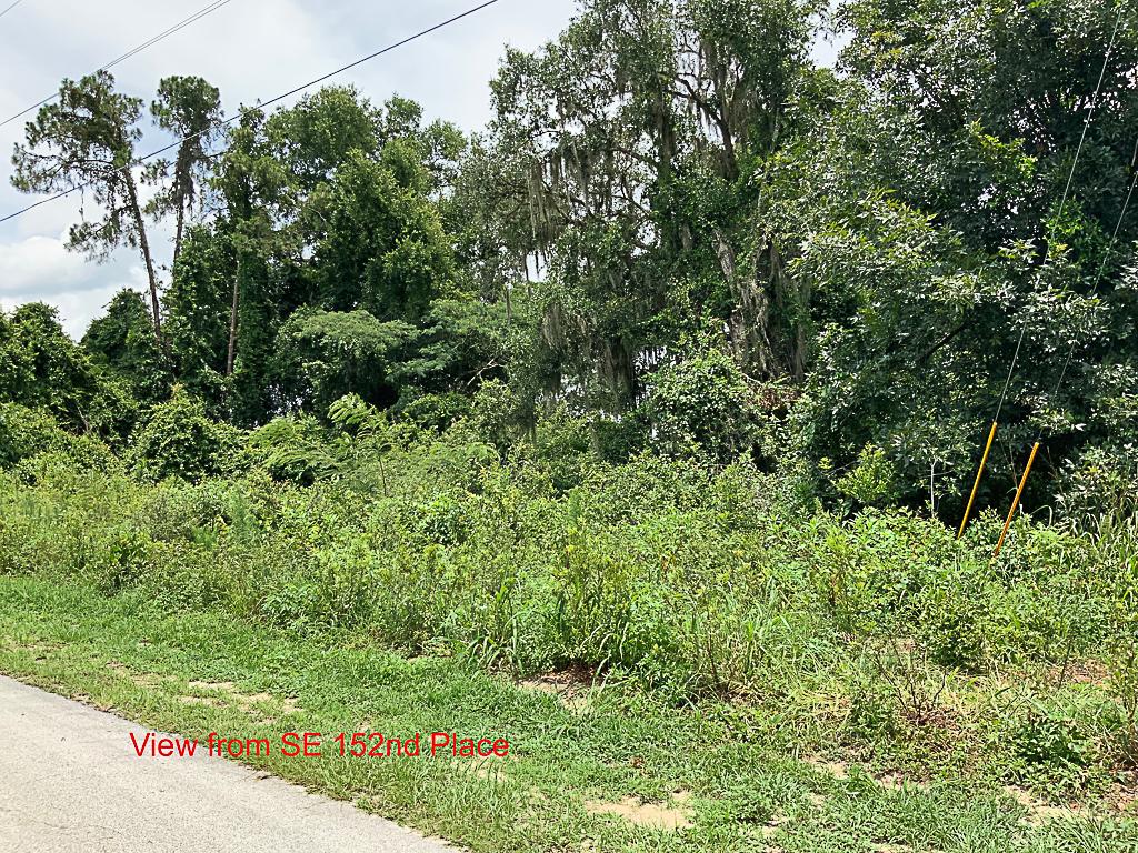 Estate Auction! Residential Lot Near Lake Weir