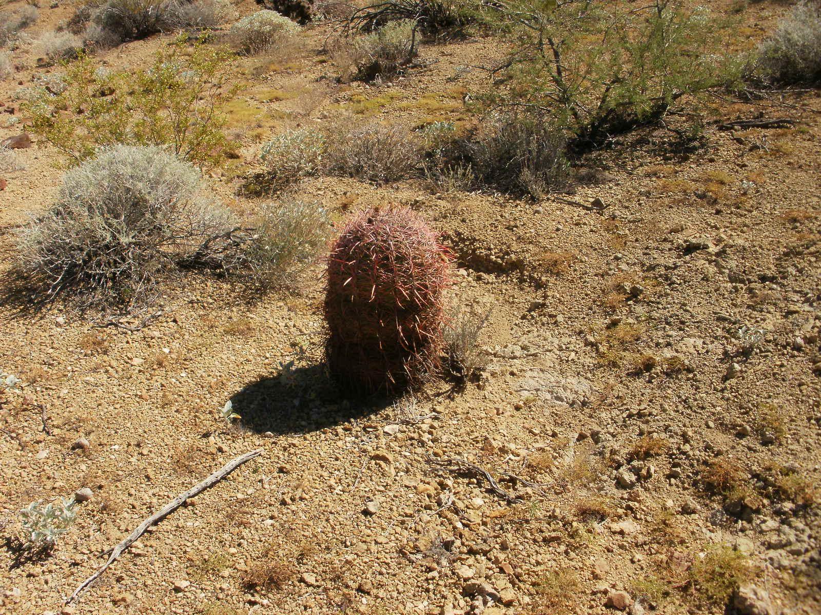 20± acre mining claims in Oatman, Mohave County Arizona