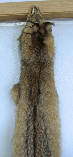 Taxidermy Tanned Alaskan Lynx Fur 44" Nose to Tail