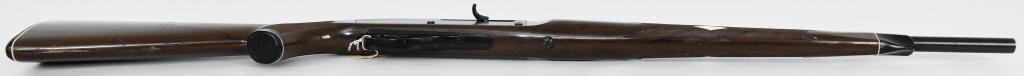 Remington Nylon 66 Mohawk Brown .22 Rifle