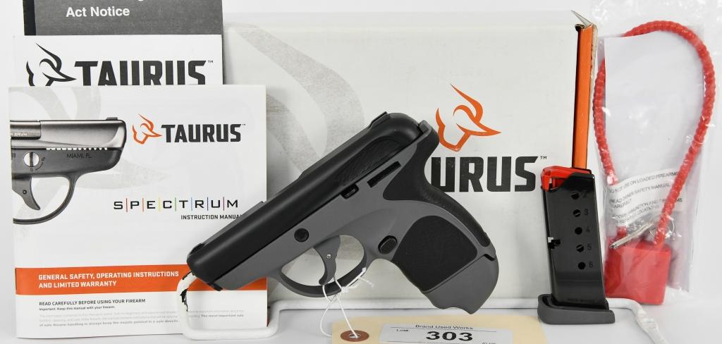 Taurus Spectrum Semi Auto Pistol .380 ACP