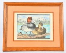 Red Head Ducks of Lake Almanor by Valerie Lerch