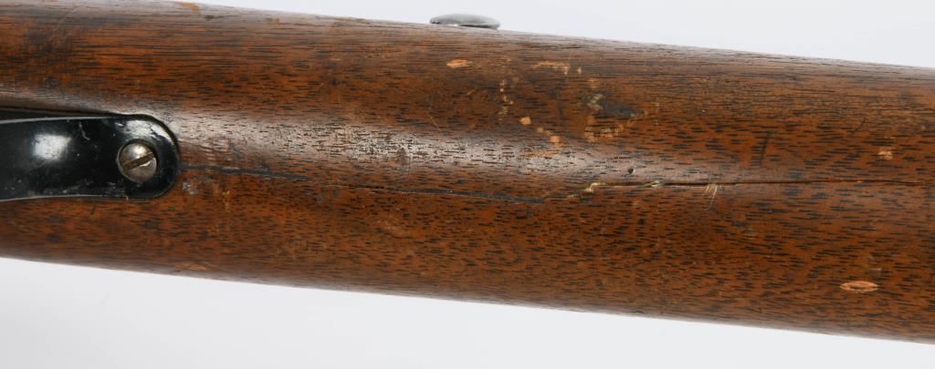 Savage Arms Model 6A Semi Auto Rifle .22 LR