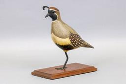 William Gibian, Onancock, VA, Gambel Quail,