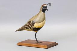 William Gibian, Onancock, VA, Gambel Quail,