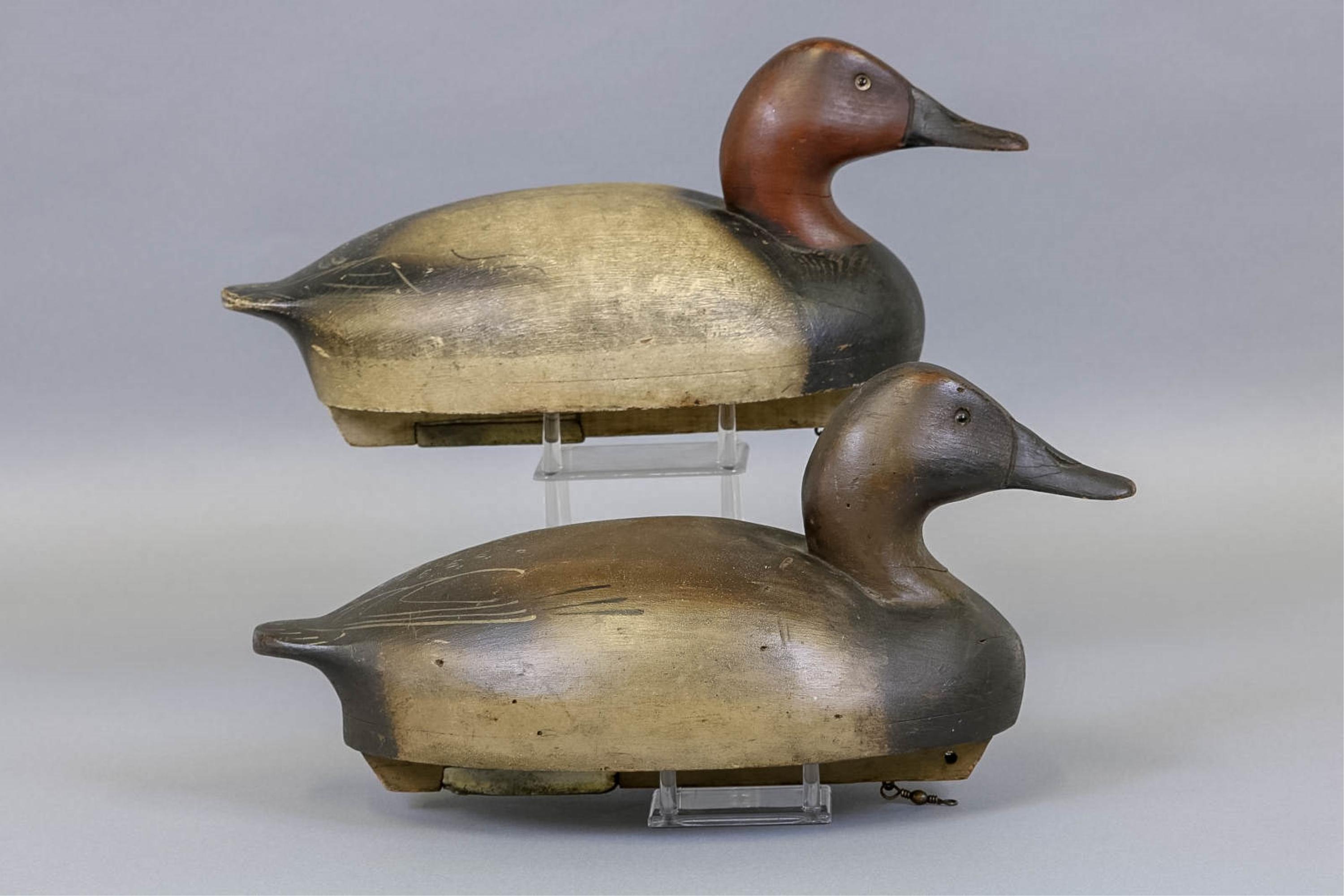 Pair Of Hen & Drake Wildfowler Canvasback Duck