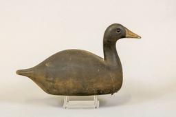 Frank Strey Coot Decoy, Oshkosh, WI, Rare,