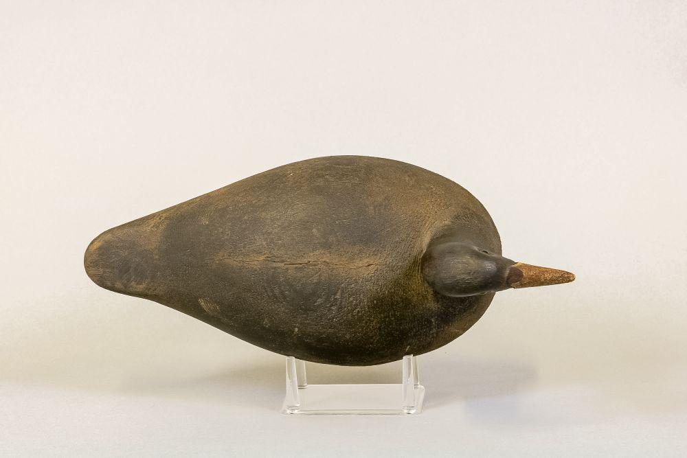 Frank Strey Coot Decoy, Oshkosh, WI, Rare,