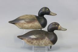 Mason pair of Bluebill Duck Decoys, Detroit, MI,