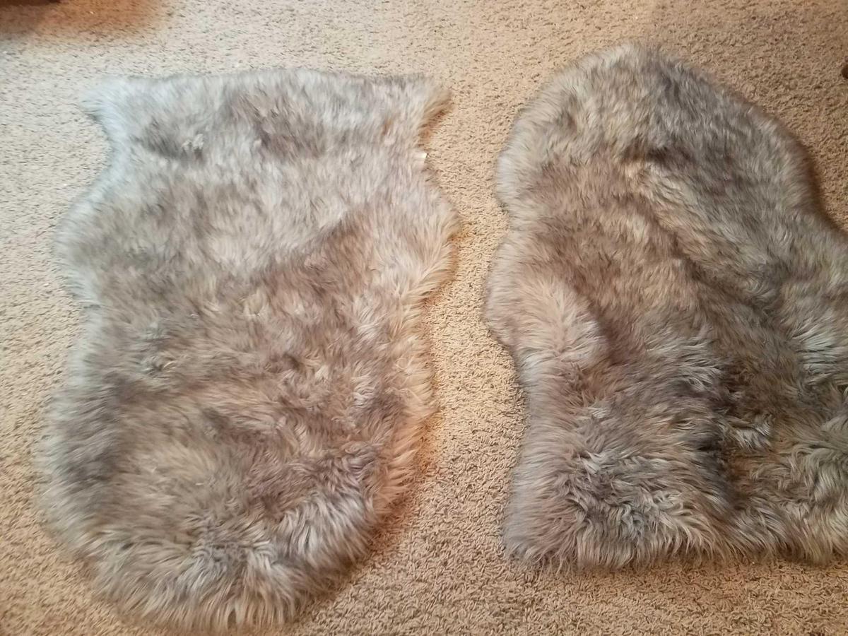 Area rug (gray)