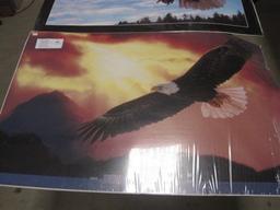 Bald eagle Posters