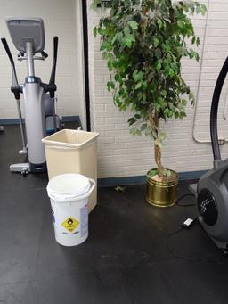 WORKOUT BALL, 3 FANS, TRASH CANS, SPEAKERS, CLOCK, 2 MATS & TREE W/BRASS POT X1