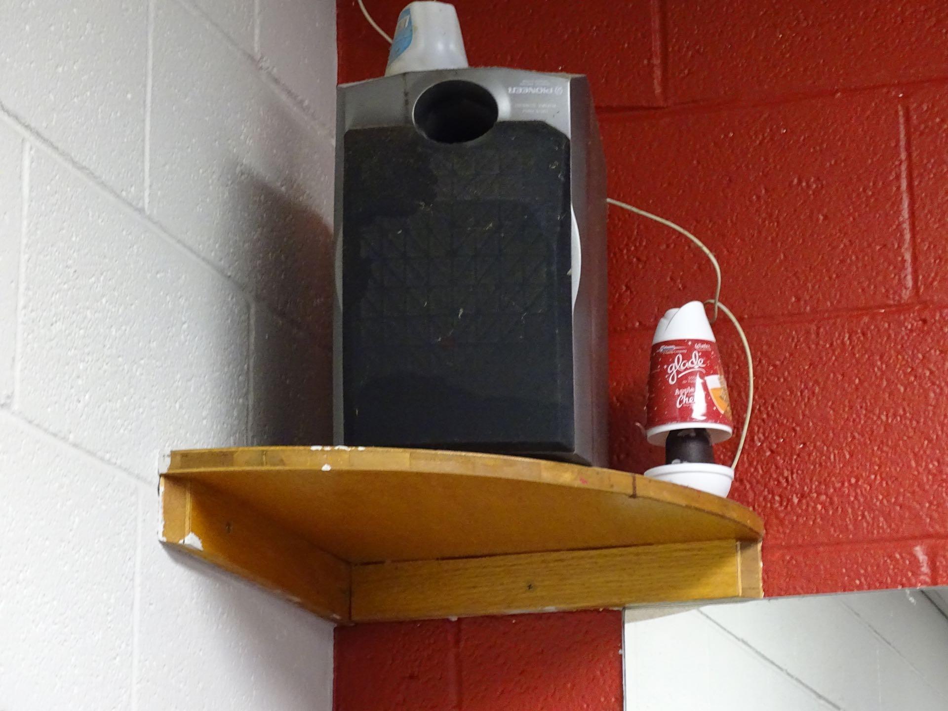 WORKOUT BALL, 3 FANS, TRASH CANS, SPEAKERS, CLOCK, 2 MATS & TREE W/BRASS POT X1