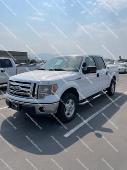 2010 FORD F150 4X4