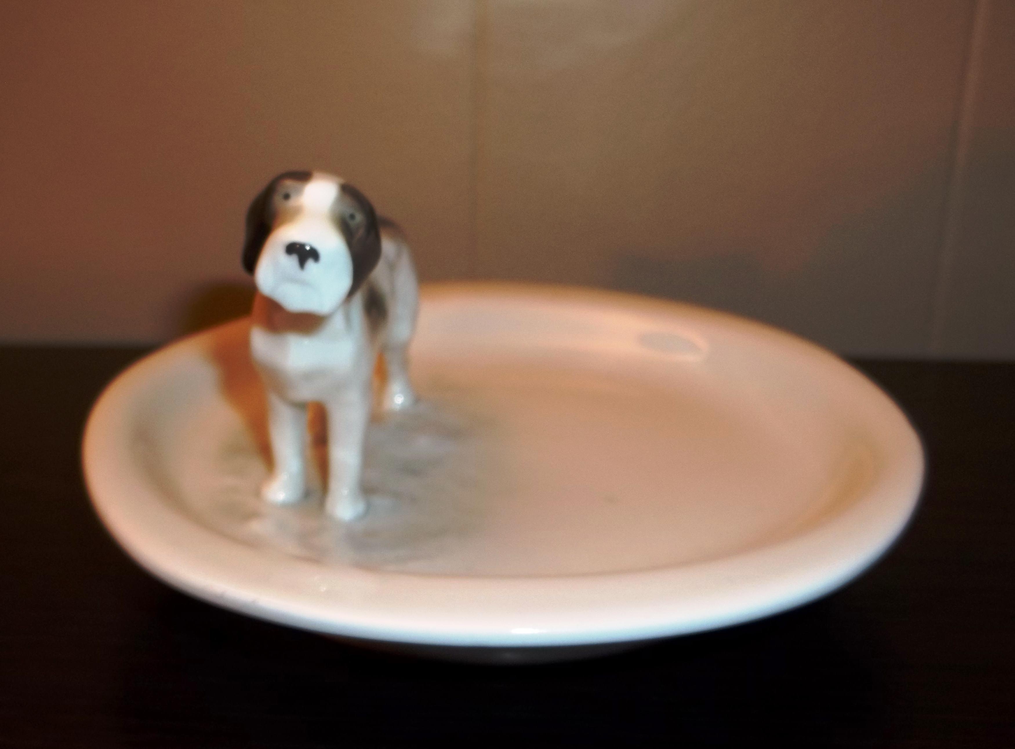 Metzler Ortloff Germany Trinket Dish With Dog
