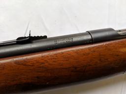 Remington Target Master Model 510