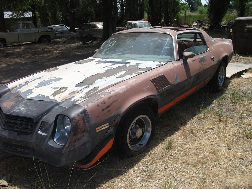 1979 Chevrolet Camero