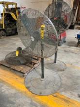 Airmaster Pedestal Fan