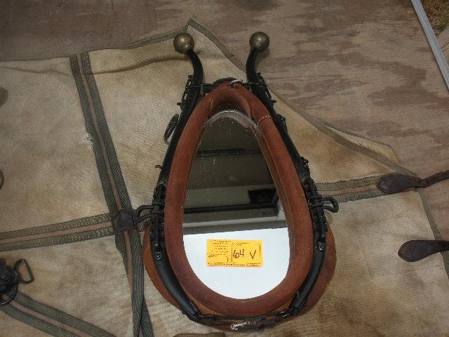 Haynes Mirror Leather colar