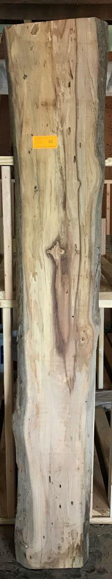 Texas Winged or Cedar Elm  91 x 9-14 x 2-1/2