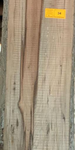 Texas Winged or Cedar Elm  97 x 12-13 x 2