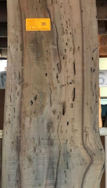 Texas Winged or Cedar Elm  100 x 14-17 x 2-3/4