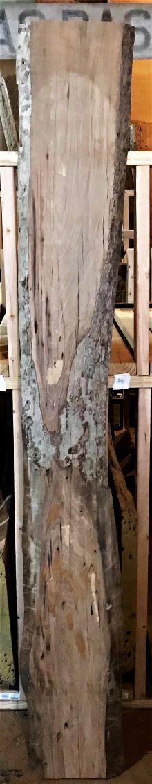 Winged Elm Slab planed one side 82 x 8=11 x 1-1/8