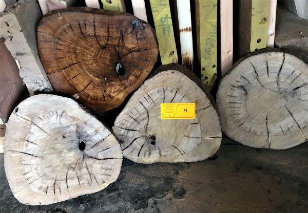 (4) Mesquite Rounds 12 x 1-1/2 - 2 Thick