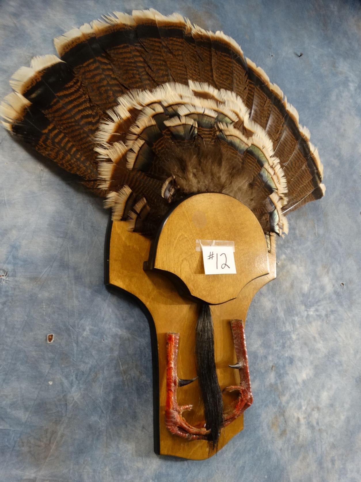 Rio Grande Wild Turkey Tail, Feet with Spurs and Beard Mount on Panel Taxidermy