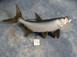 Brand New 27" Fiberglass Reproduction Tarpon Fish Mount Taxidermy
