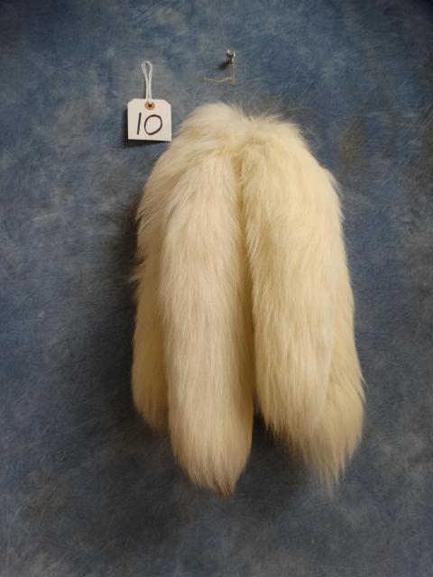 Five Tanned Arctic Fox Tails Taxidermy (5 x $ )