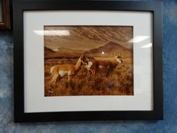 Two Framed Wildlife Prints ( 2 x $ )