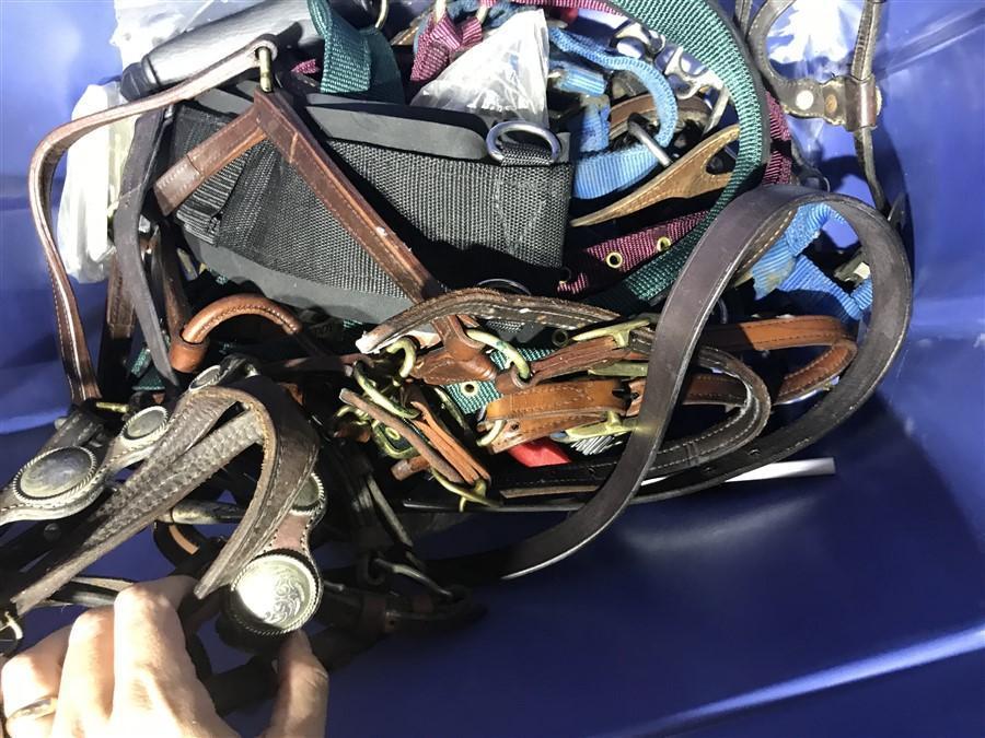 Tote of Tack Items + Horse Accessories, etc