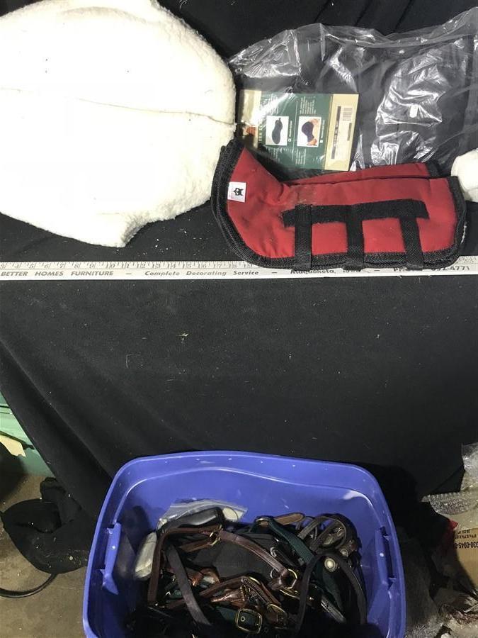 Tote of Tack Items + Horse Accessories, etc