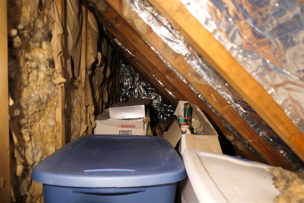 Crawlspace contents of modern Christmas Items