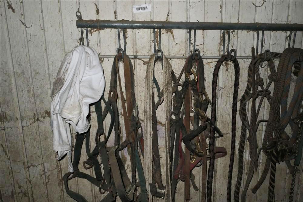 Rack of Horse Tack Items