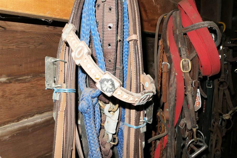 Very Large Wall Lot of Horse Tack Leather Ropes