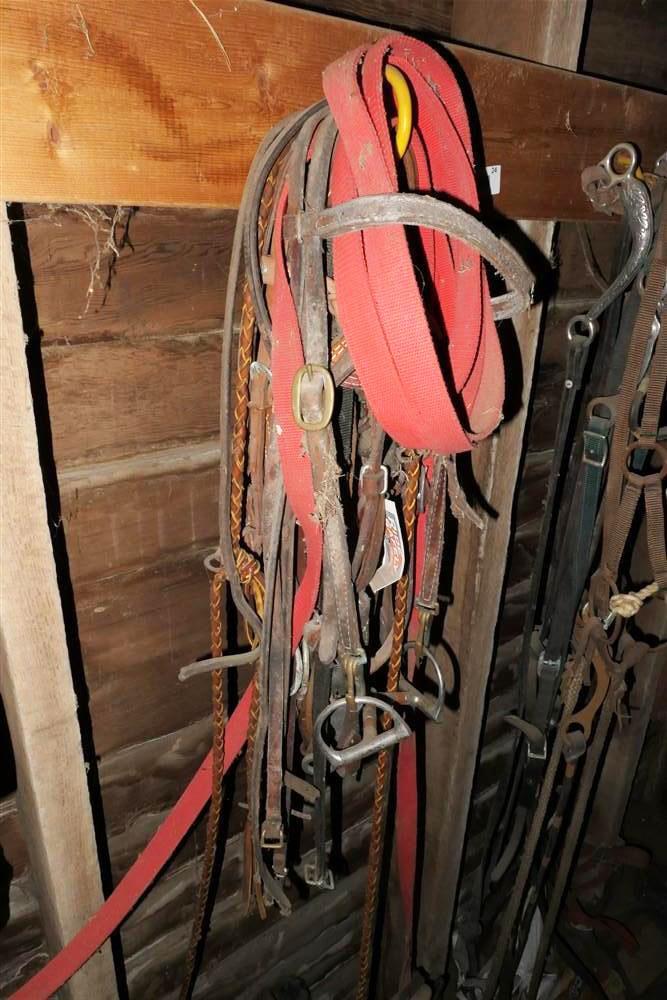 Very Large Wall Lot of Horse Tack Leather Ropes