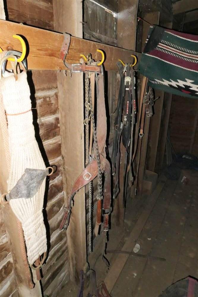 Very Large Wall Lot of Horse Tack Leather Ropes