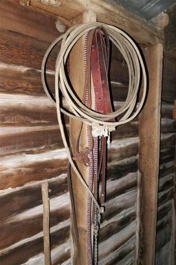 Very Large Wall Lot of Horse Tack Leather Ropes