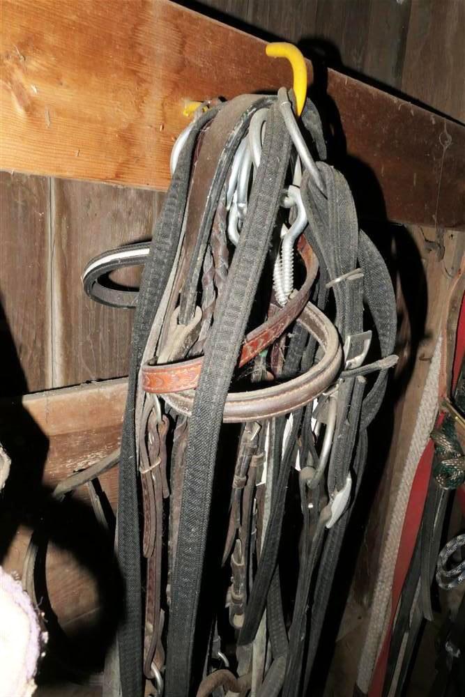 Very Large Wall Lot of Horse Tack Leather Ropes