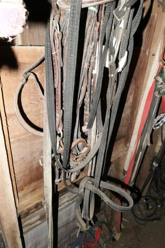 Very Large Wall Lot of Horse Tack Leather Ropes