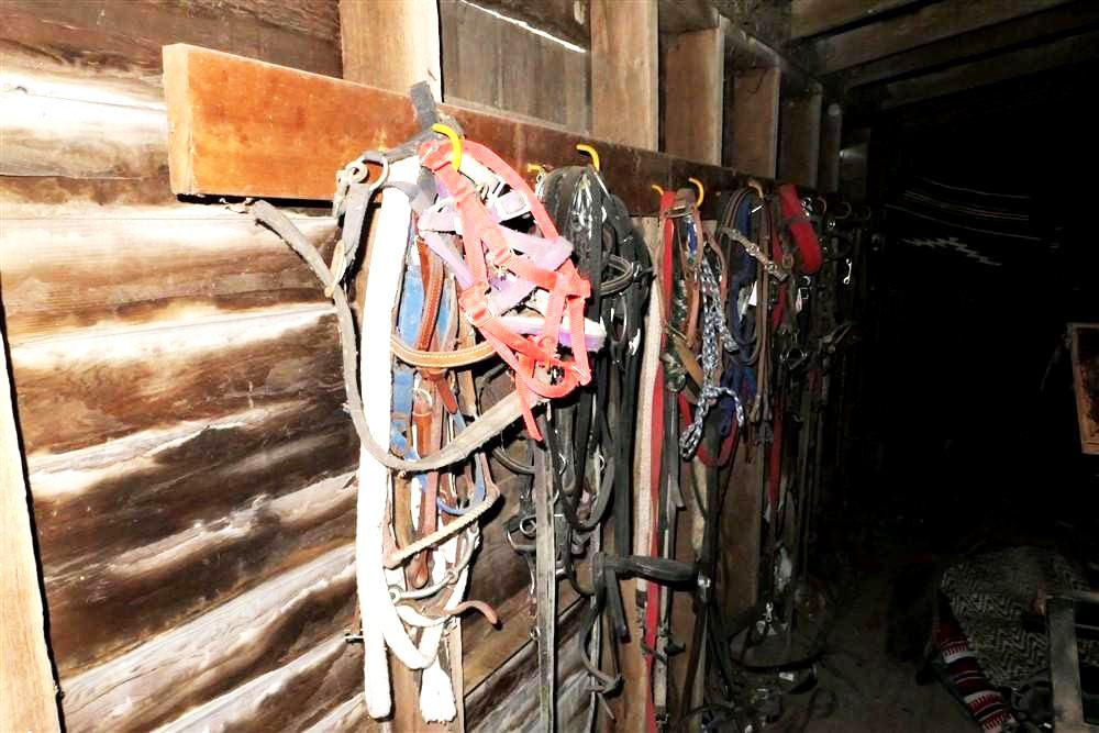 Very Large Wall Lot of Horse Tack Leather Ropes