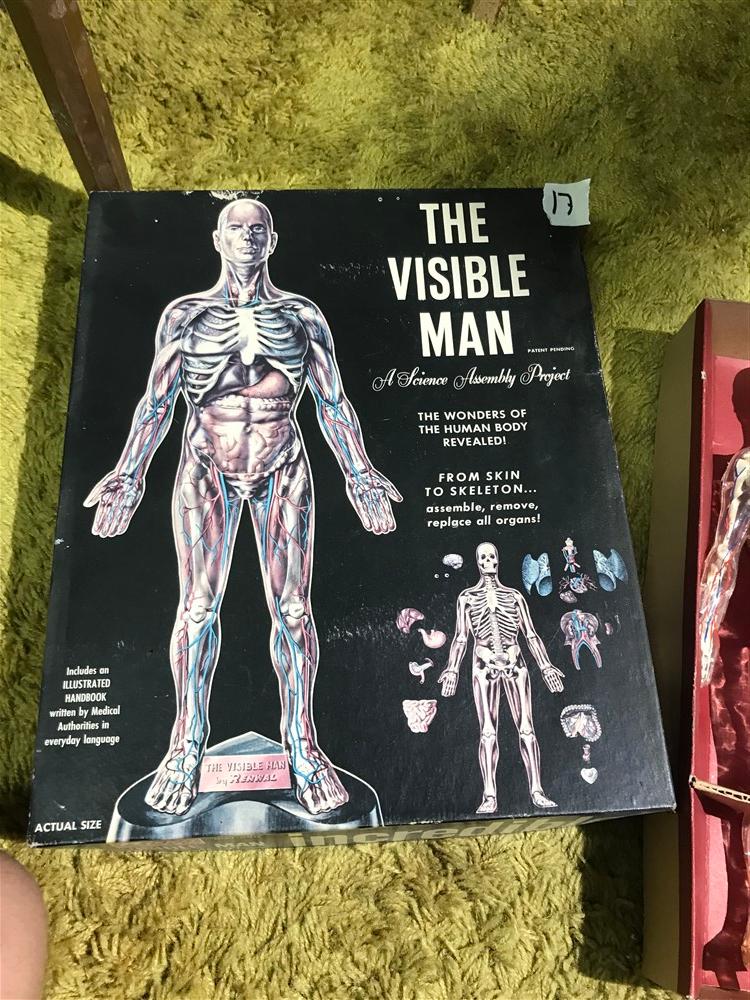 The Visible Man Science Toy in Box