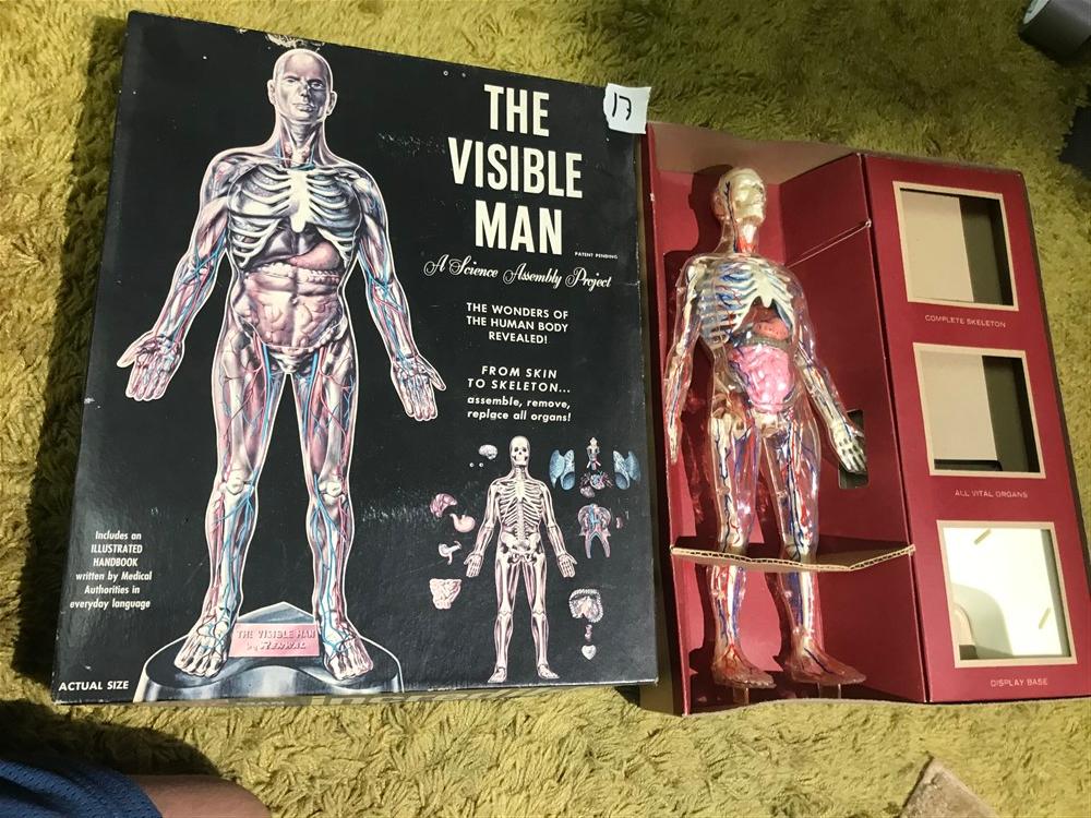 The Visible Man Science Toy in Box