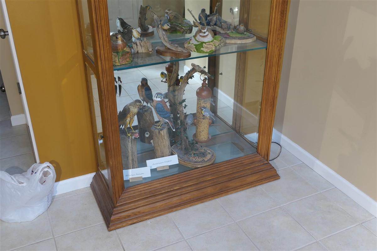 Large sized wooden display cabinet
