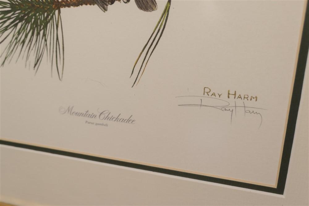 Sign Ray Harm Bird Print in Frame