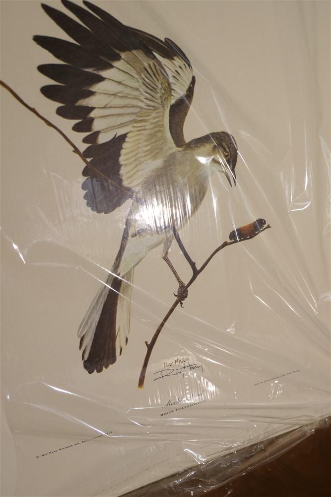 Signed bird print by Ray Harm